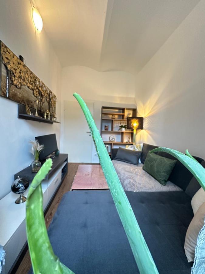 Ferienwohnung Marion Klagenfurt Zentrumsnaehe Klagenfurt am Woerthersee Eksteriør billede