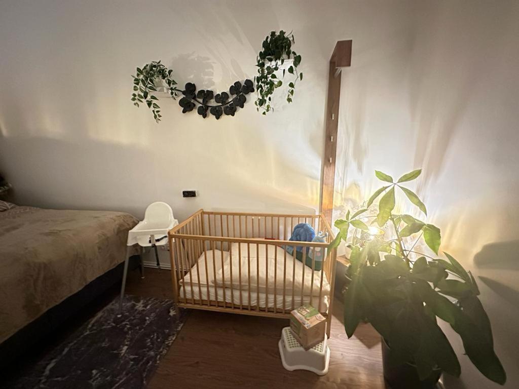 Ferienwohnung Marion Klagenfurt Zentrumsnaehe Klagenfurt am Woerthersee Eksteriør billede